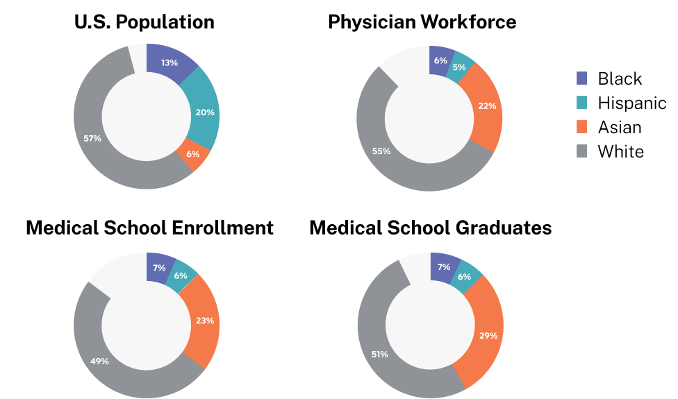 Representation in medicine 2019 - 2020 compared to US population